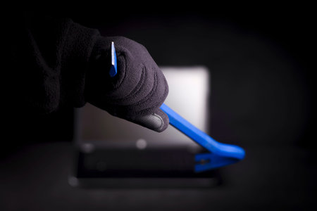 Concept of break-ins into computer networks and Internet