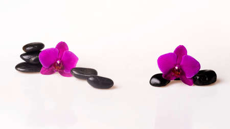 Flower arrangement - orchids on the bright backgroundの写真素材