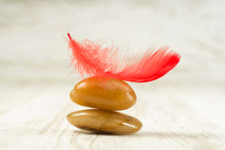 Red feather on bright stonesの写真素材