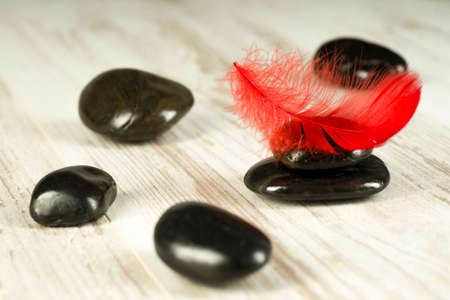 Red feather on black stonesの写真素材