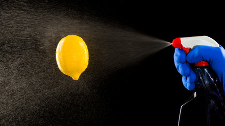 Pump sprayer and the lemon