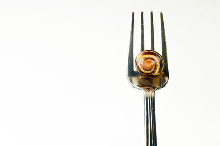 Colored snail on a fork on a white isolated background