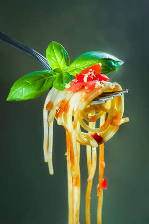 Fresh spaghetti pasta on a fork photographed close upの写真素材