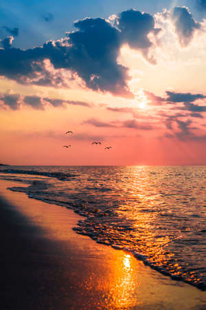 The concept of travel and rest at the seaside, sea waves on the background of the beachの写真素材