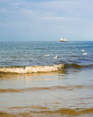 The concept of travel and rest at the seaside, sea waves on the background of the beachの写真素材