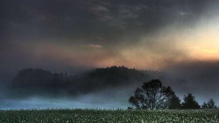 Misty morning, fields and treesの写真素材