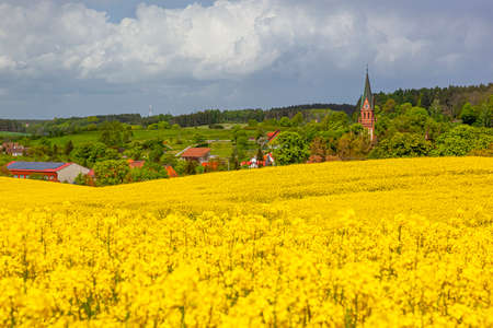 Gietrzwald - a village in Warmia and Mazury, Poland - spring landscape, blooming rapeseed. Basilica of the Nativity of the Blessed Virgin Mary in Gietrzwald.の写真素材