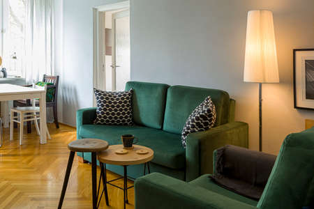 interior - dark green sofa and armchair, next to the lamp, table and stool, wooden floor on the floor.の写真素材