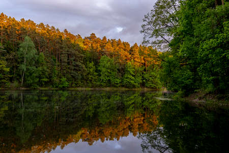 Forest reflecting in the water at sunset On the long lake in Olsztyn - Warmia and Masuria, Poland, Europeの写真素材