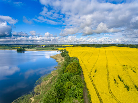 Rapeseed fields and Lake Klebarskie, BiedÃ³wko near Klebark Wielki and Olsztyn - Warmia and...