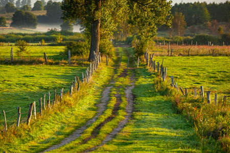 A field road between pastures and meadows at sunrise near the village of Gamerki Wielkie in Warmia and Mazury in Polandの写真素材