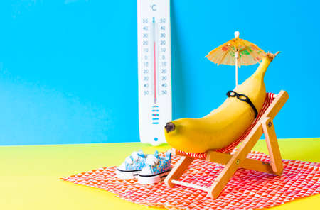 Banana with sunglasses on the sunbed. Summer holiday concept.の写真素材
