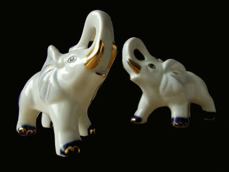 elephants against a black backgroundの写真素材