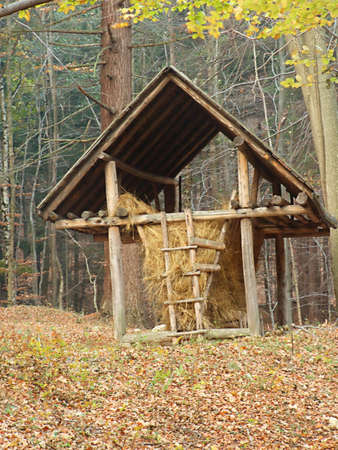 Animal feeding place with hay, in deep forrestの写真素材
