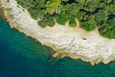 Aerial view of Brijuni National Park, Croatiaの写真素材