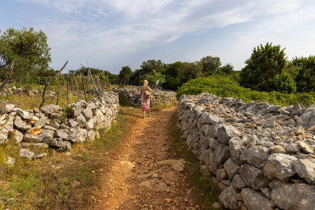 Footpath in the rural landscape of the dry walls of Ilovik island, Croataの写真素材