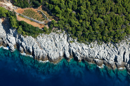 Aerial view of Mljet Island, Croatiaの写真素材