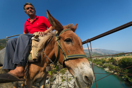 A man riding the donkey on the hanging bridge on Vjosa River, Albania.のeditorial素材