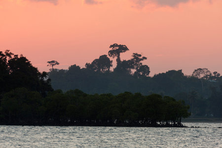 Layers of the rainforest in sunset, Andaman Islandsの写真素材