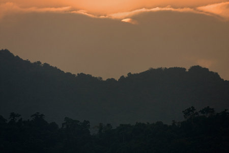 Layers of the rainforest in sunset, Andaman Islandsの写真素材
