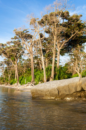 Rocky and sandy beach on Andaman islandsの写真素材