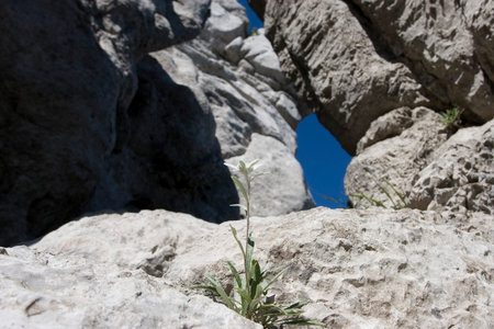 Eroded rocks on Bijele stijene mountains in Croatiaの写真素材