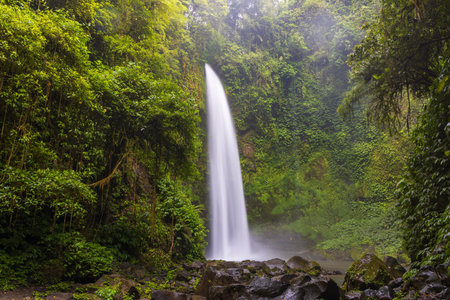 Nungnung waterfall in lush tropical forest, Bali, Indonesiaの写真素材