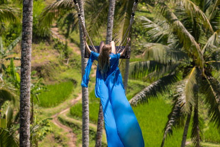 People in swings in Tegalagang rice terraces, Baliのeditorial素材