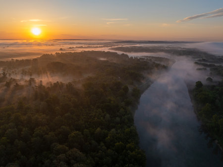 Aerial view of the morning mist and rising sun on the natural Drava River and forested floodplainの写真素材