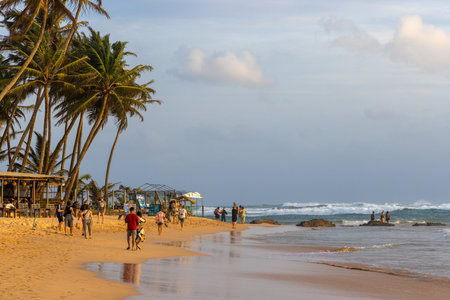 People on the sand beach in Mirissa with palms, Sri Lanka in the late afternoonのeditorial素材