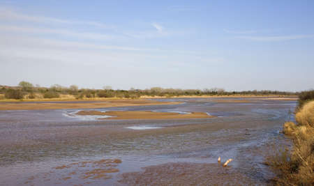 Cimarron River in Nothwest Oklahoma in springの写真素材