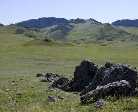 foothills in Montana on a summer dayの写真素材