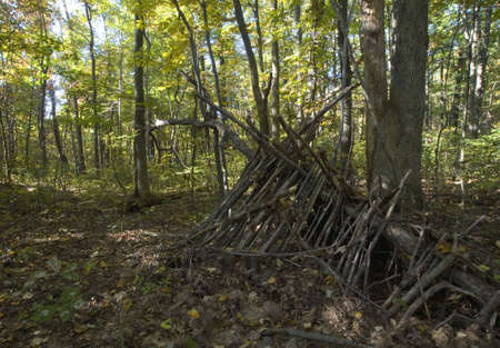 lean to that's in the woods in the autumnの写真素材