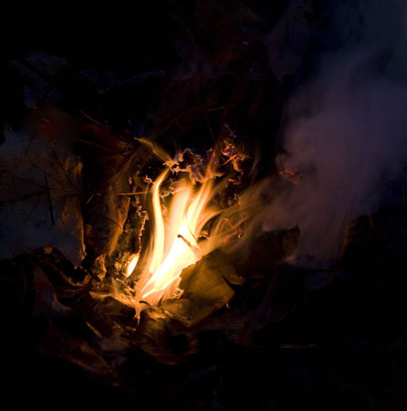 small fire with leaves and smoke billowing up flames