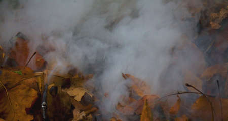 autumn leaves that are smolding after the sun has gone downの写真素材