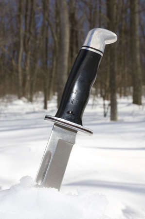 large knife that is on the edge of a snowy forestの写真素材