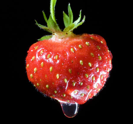 Ripe strawberry that is dripping from some spring rainの写真素材