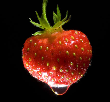 ripe strawberry that has been covered in a spring rainの写真素材