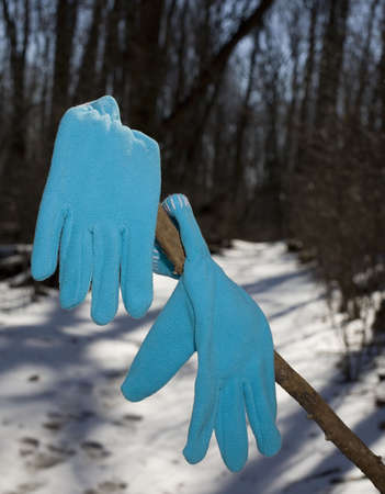 Childs gloves that have been discarded on a winter forestの写真素材