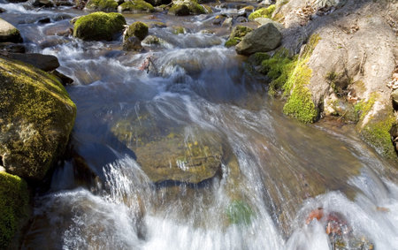 Stream on Virginias Blue Ridge flowing fast in early spring