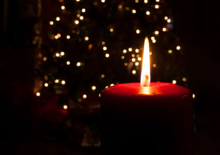 Single red candle burning brightly with a Christmas tree behindの写真素材