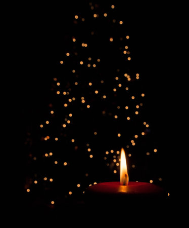 Red candle burning in the dark in front of a Christmas treeの写真素材