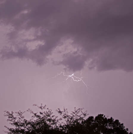 Lightning strike in the clouds with a tree backlit in the foregroundの写真素材