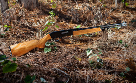 Wood stocked rifle chambered in twenty two rimfire in the forest