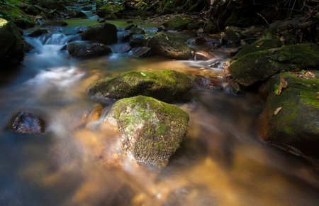 Pisgah National Forest stream running with daylight in North Carolina