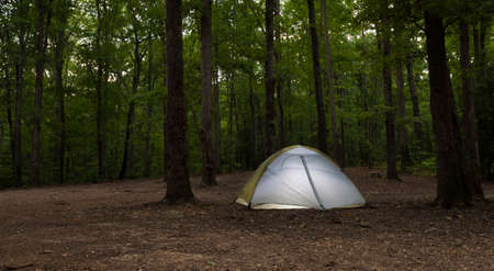 Tent at an undeveloped campsite on Uwharrie National Forestの写真素材