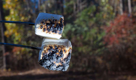 Two marshmallows a little overdone on the campfireの写真素材