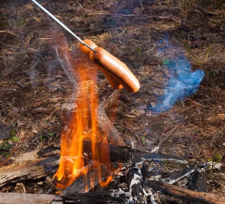 Two hot dogs cooking over a small campfireの写真素材