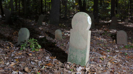 Old and abandoned cemetery and tombstones in North Carolina