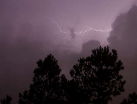 Single strike of lightning coming from the clouds above treesの写真素材